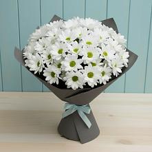Букет цветов из:  Хризантемы #REPLACE_PRED# Невельске
